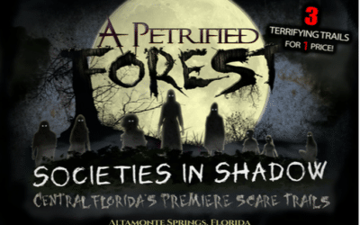 A Petrified Forest : October 4 – November 2